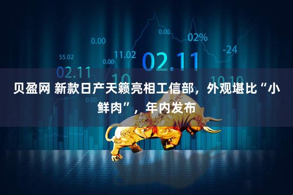 贝盈网 新款日产天籁亮相工信部，外观堪比“小鲜肉”，年内发布