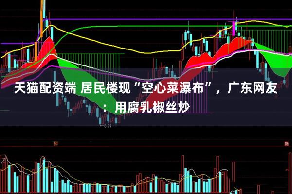 天猫配资端 居民楼现“空心菜瀑布”,广东网友:用腐乳椒丝炒