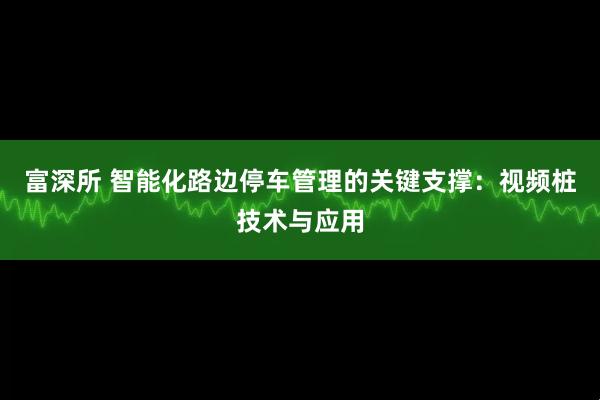 富深所 智能化路边停车管理的关键支撑：视频桩技术与应用