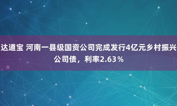 达道宝 河南一县级国资公司完成发行4亿元乡村振兴公司债，利率2.63％